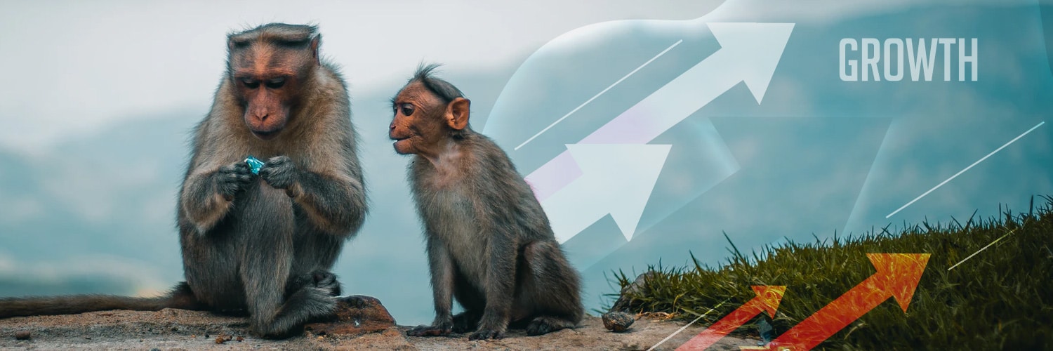 Mailchimp Contest:  Grow and Engage your Mailing List in 2022